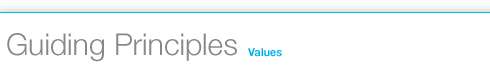 Guiding Principles: Values