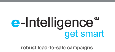e-Intelligence - Get Smart. Robust Lead-to-Sale Campaigns